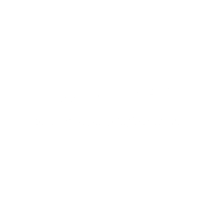 adaptics