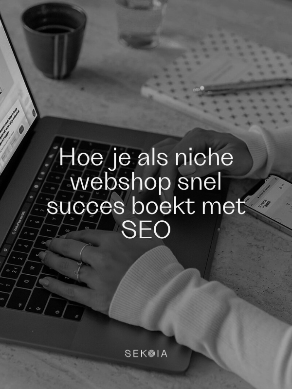 niche webshop seo